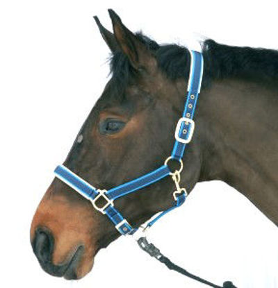 Picture of Halster Exclusief nylon/leer blauw