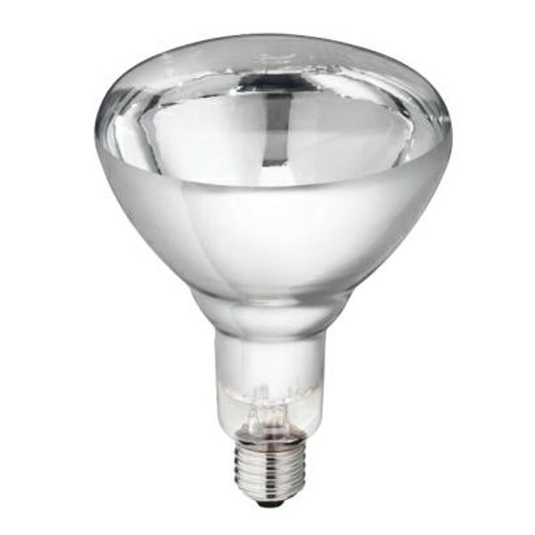 Afbeeldingen van Warmtelamp Philips 250w. wit