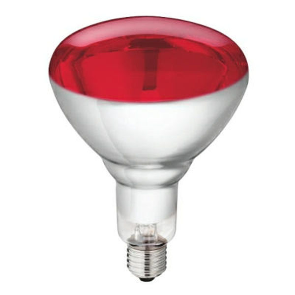 Afbeeldingen van Warmtelamp Philips 150w. rood