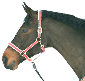 Afbeeldingen van Luxe halster nylon/leer rood-1 - Pony
