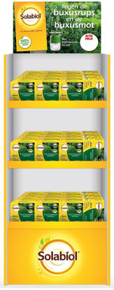 Picture of display Buxus val promo