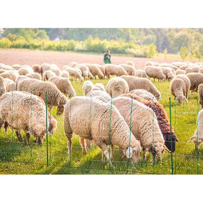 Afbeeldingen van AKO Schapennet TopLine Plus Wit/Groen