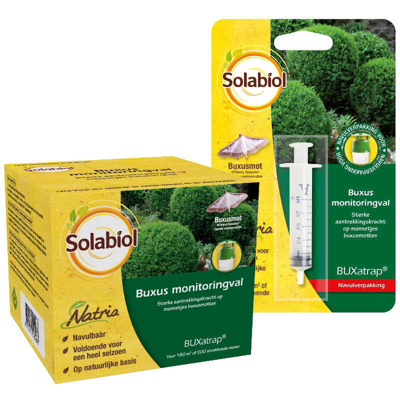 Afbeeldingen van BUXatrap Buxus monitoringval -Solabiol-