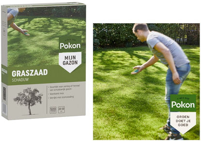 Afbeeldingen van Pokon Graszaad Schaduw