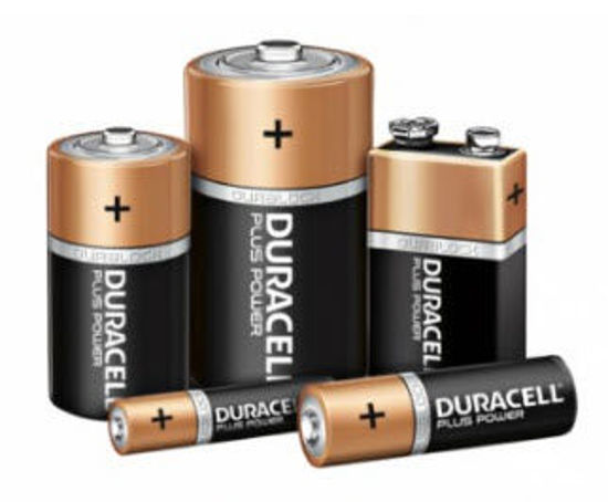 Picture of Batterij DURACELL Plus MN 1400 Duralock (C) x2st.