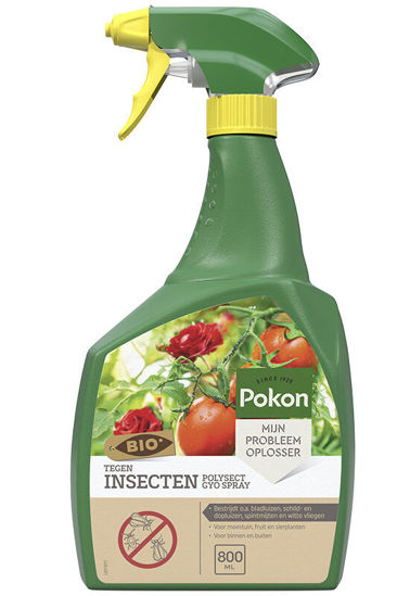 Afbeeldingen van Pokon Bio Tegen Insecten Spray 800ml 'Polysect GYO Spray'