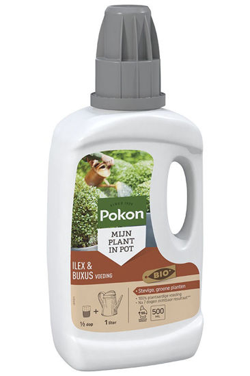 Picture of Pokon Bio Buxus & Ilex Voeding 500 ml