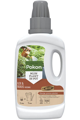 Afbeeldingen van Pokon Bio Buxus & Ilex Voeding 500 ml