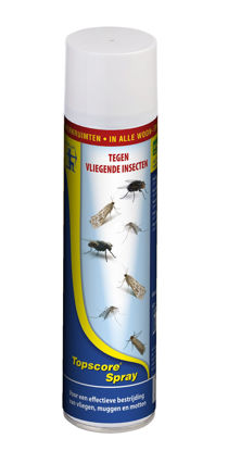 Afbeeldingen van TopScore Vliegende insektenspray, 400ml