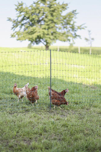 Afbeeldingen van AKO PoultryNet Premium niet elektrificeerbaar 25m