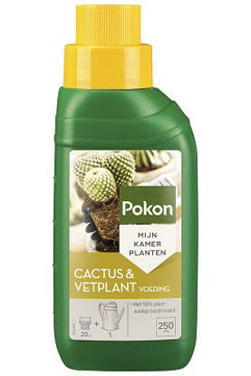Afbeeldingen van Pokon Bio Cactus & Vetplant Voeding 250ml