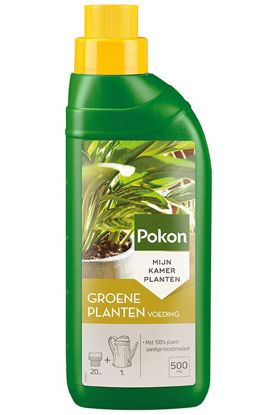 Afbeeldingen van Pokon Groene planten Voeding 500ml