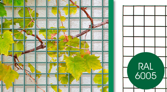 Afbeeldingen van Bologna draadpaneel 5x5cm x 150cm x 60cm RAL 6005 groen