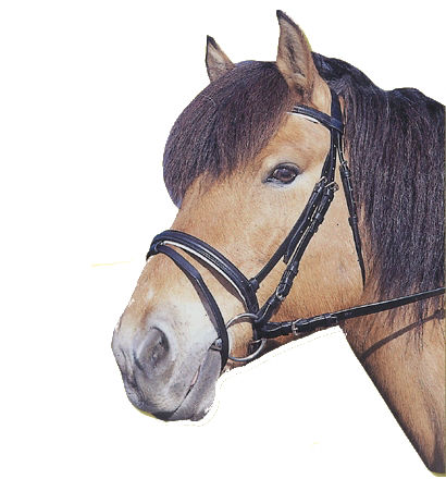 Afbeeldingen van Hoofdstel Standard leer zwart, Full