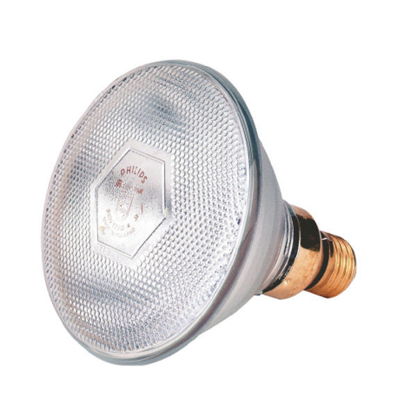 Afbeeldingen van Warmtelamp Philips 100w. wit
