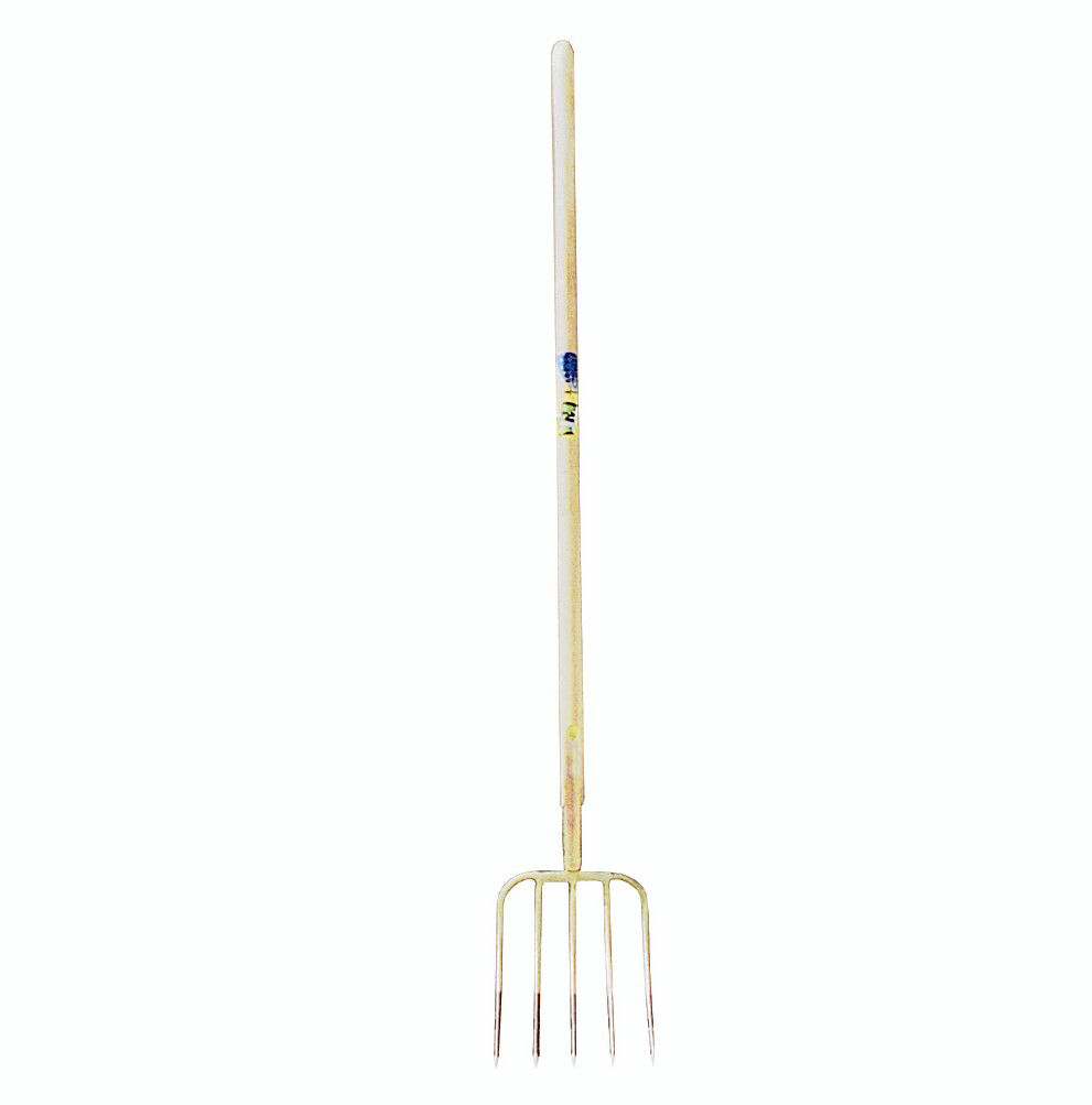 Afbeeldingen van Mestvork 5tds, stift, steel 135cm