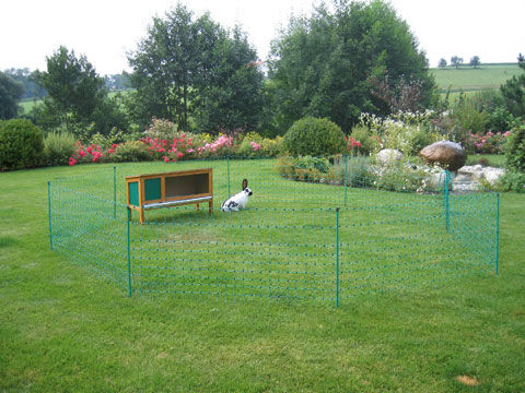 Afbeeldingen van AKO Konijnennet 65cm x 50m dubbele pen