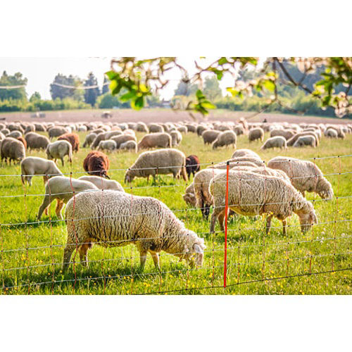 Afbeeldingen van AKO Paaltje Rood 105cm v. schapennet dubbele pen