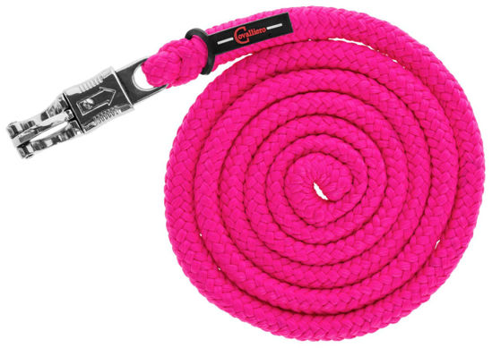 Afbeeldingen van Voorbrenglijn m.paniekknip HIPPO - PE roze