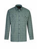 Afbeeldingen van Blouse katoen LM Storvik EGERSUND dessin 5.4.