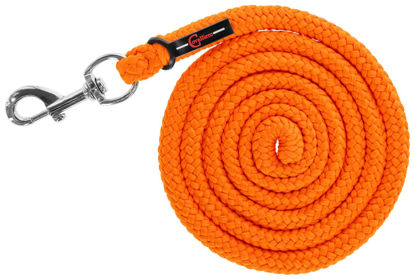 Picture of Voorbrenglijn met musketon HIPPO - PE oranje