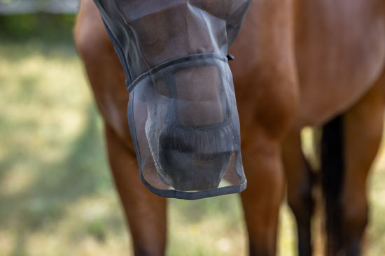 Picture of Vliegenmasker met oor- en neus bescherming Pony