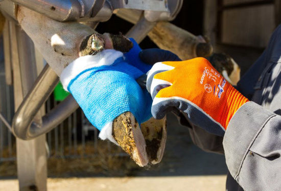 Afbeeldingen van Handschoen Fijn gebreid ActivGrip XA325 oranje