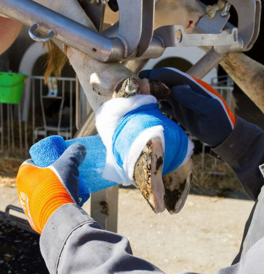 Afbeeldingen van Handschoen Fijn gebreid ActivGrip XA325 oranje