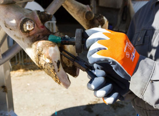 Afbeeldingen van Handschoen Fijn gebreid ActivGrip XA325 oranje