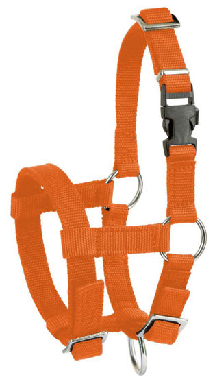 Afbeeldingen van Alpaca Halster Oranje