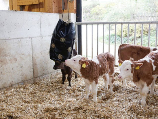 Afbeeldingen van Hooizak -Hay Bag- klein