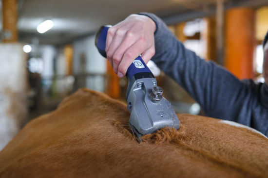 Afbeeldingen van Accuscheermachine Aesculap Bonum Pro Blauw +2 accu's