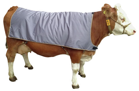 Afbeeldingen van Koedek, thermodek ruglengte 175cm