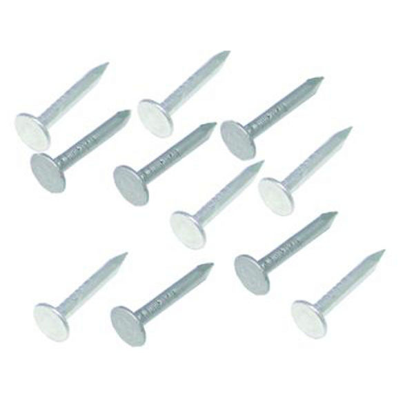 Afbeeldingen van Asfaltnagels 5kg 3.0x20