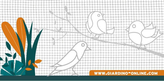 Afbeeldingen van Gaas, Gelast verzinkt 12.7/0.65 - 1.01m x 5m