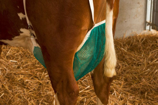 Afbeeldingen van Uiernet compleet