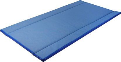 Afbeeldingen van Desinfectiemat / Hoefmat 180x90cm