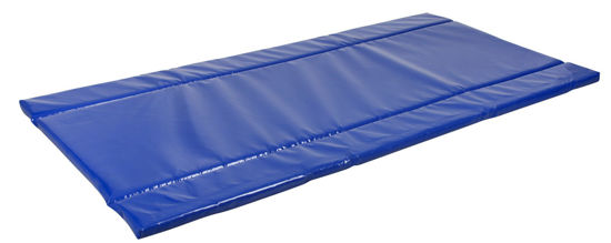 Afbeeldingen van Desinfectiemat / Hoefmat 180x90cm