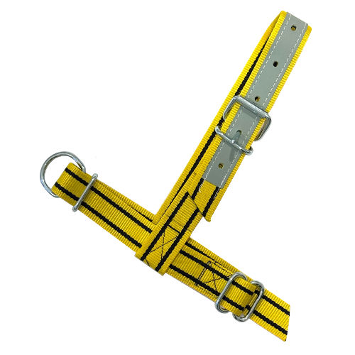 Afbeeldingen van Keuringshalster geel/zw kalf (NO.3)