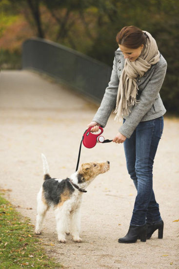 Afbeeldingen van FLEXI Rollijn NEW Classic band rood S/5 meter tot 15kg.