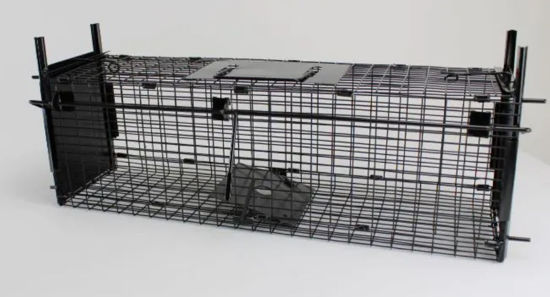 Afbeeldingen van Vangkooi / doorloopval 60cm zwart 2 ingangen (60x18x20cm)