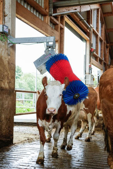 Afbeeldingen van HappyCow koeborstel MaxiSwing