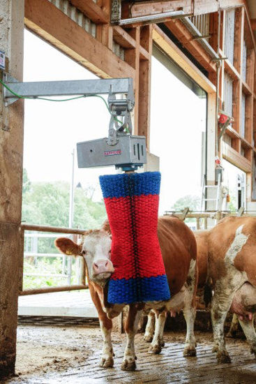 Afbeeldingen van HappyCow koeborstel MaxiSwing