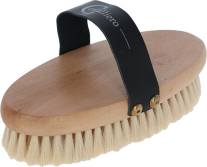 Afbeeldingen van Paardenborstel met houten rug