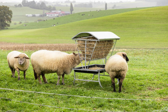 Afbeeldingen van AKO Voerruif voor schaap klein met dak