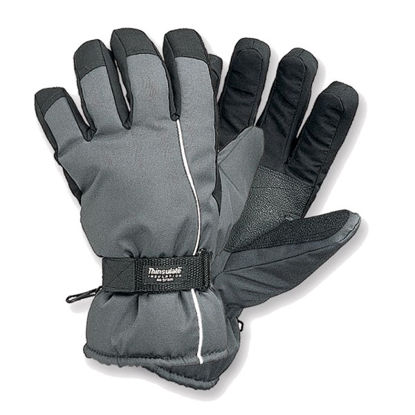 Afbeeldingen van Skihandschoen grijs/zwart