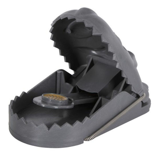 Afbeeldingen van Rattenval kunststof cit *RatStop*