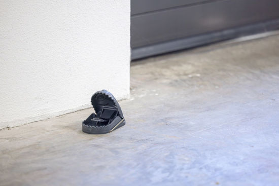 Afbeeldingen van Rattenval kunststof cit *RatStop*