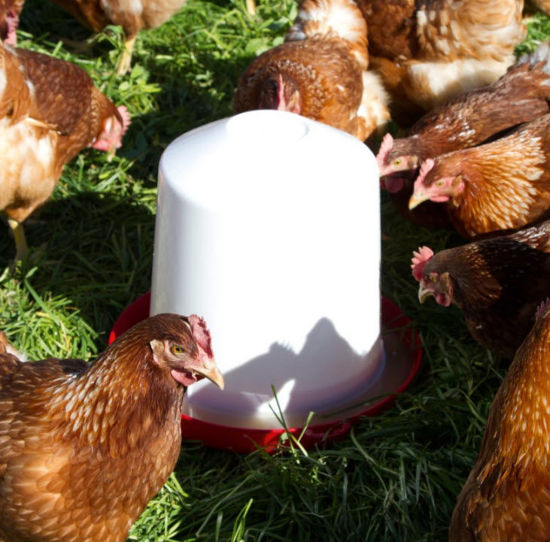 Afbeeldingen van Drinktoren knst., met onderbak, 10L