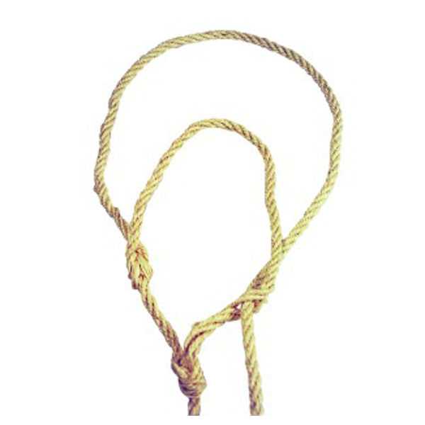 Afbeeldingen van Koehalsters met touwtjes (12st)